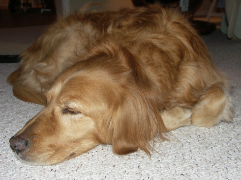 Picture 006